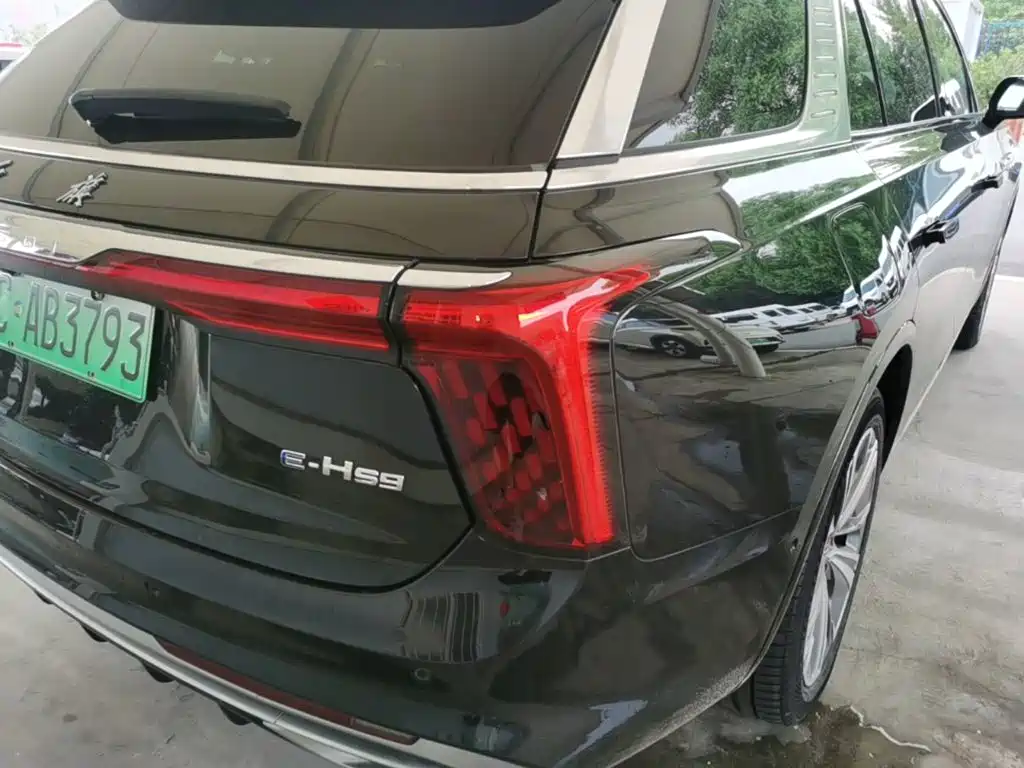 Hongqi Hongqi E-HS9 — миниатюра 8
