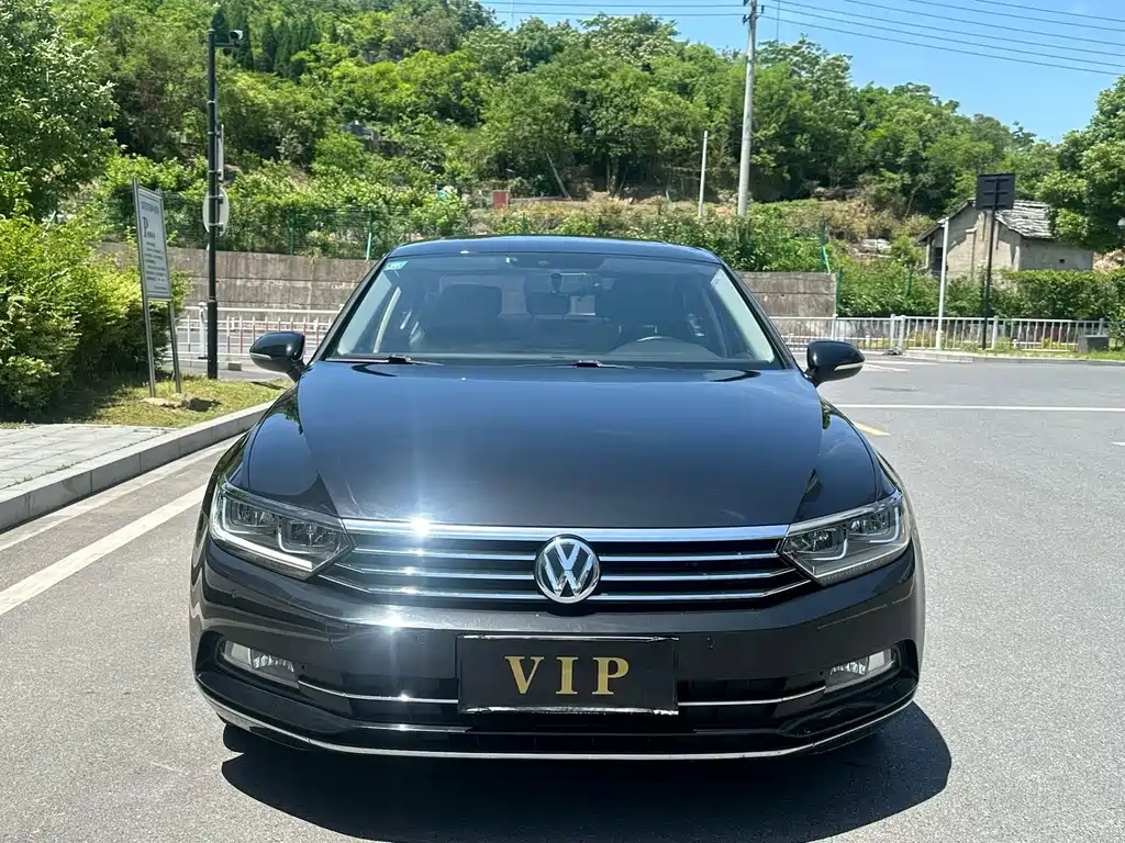 Volkswagen Magotan — миниатюра 2