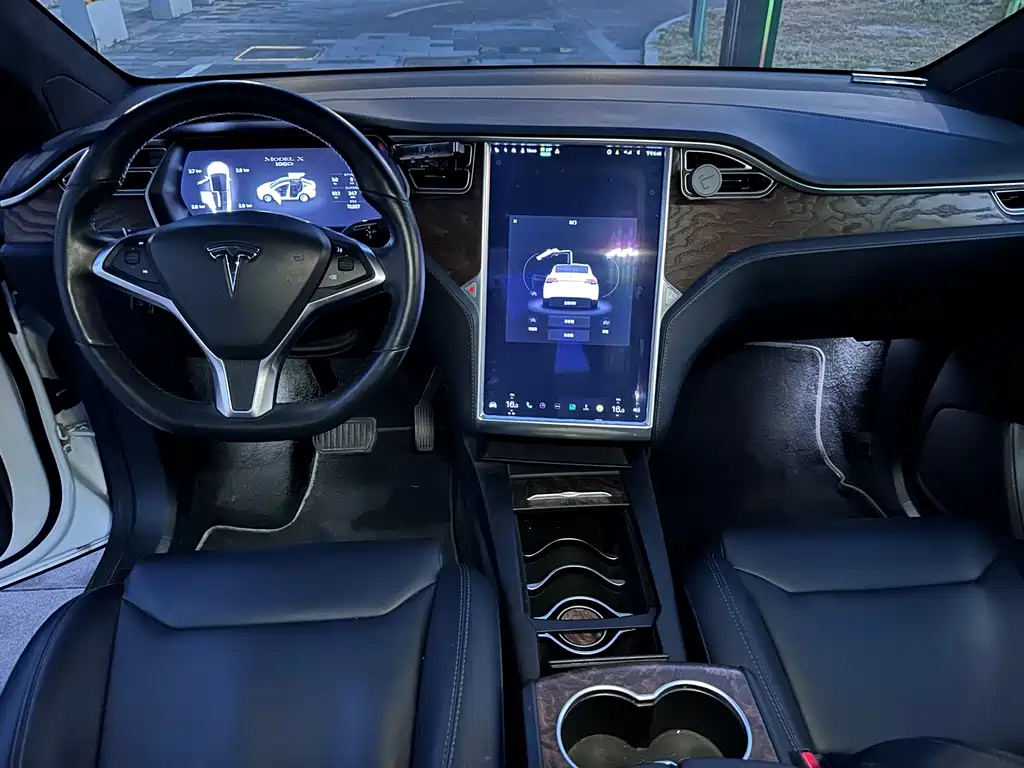 Tesla Model X — миниатюра 9
