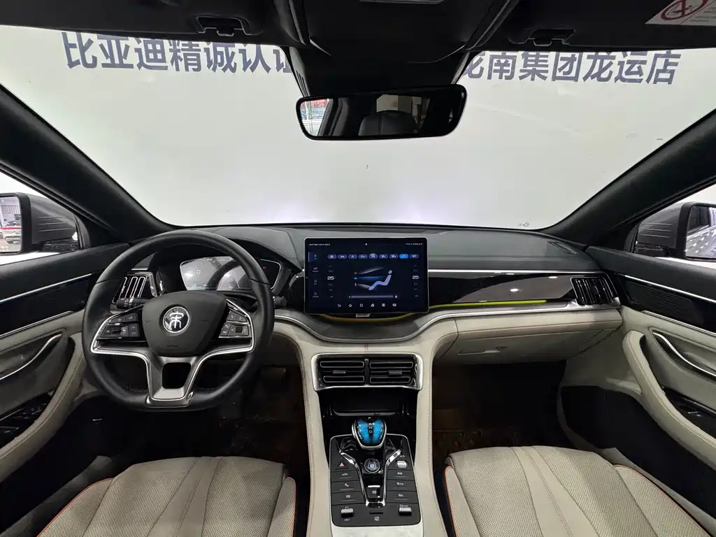 BYD PLUS New Energy — миниатюра 20