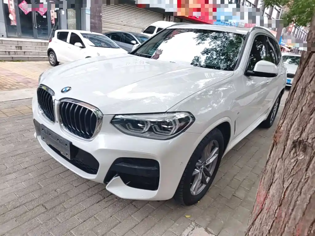 BMW X3 — миниатюра 2
