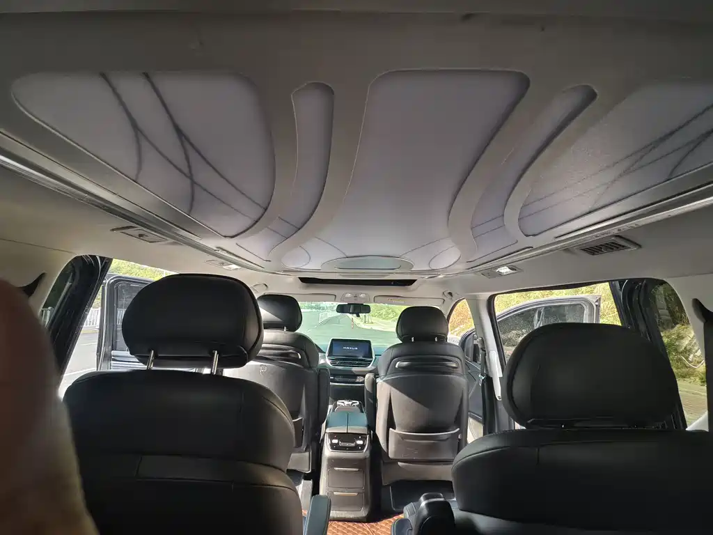 SAIC MAXUS CHASE G20