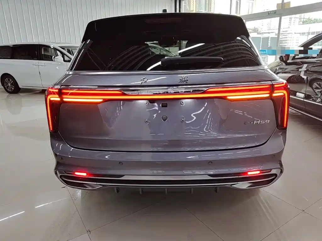 Hongqi Hongqi E-HS9 — миниатюра 6