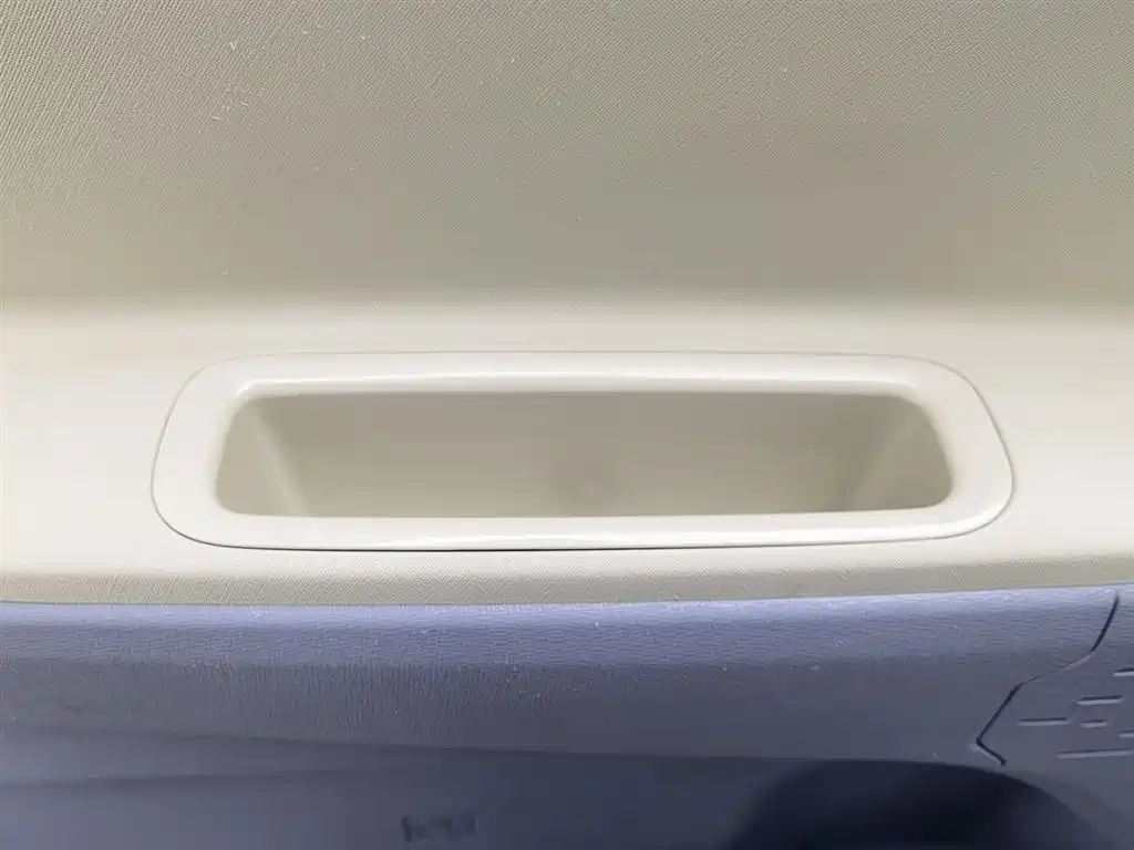 DONGFENG SCENERY MINIEV