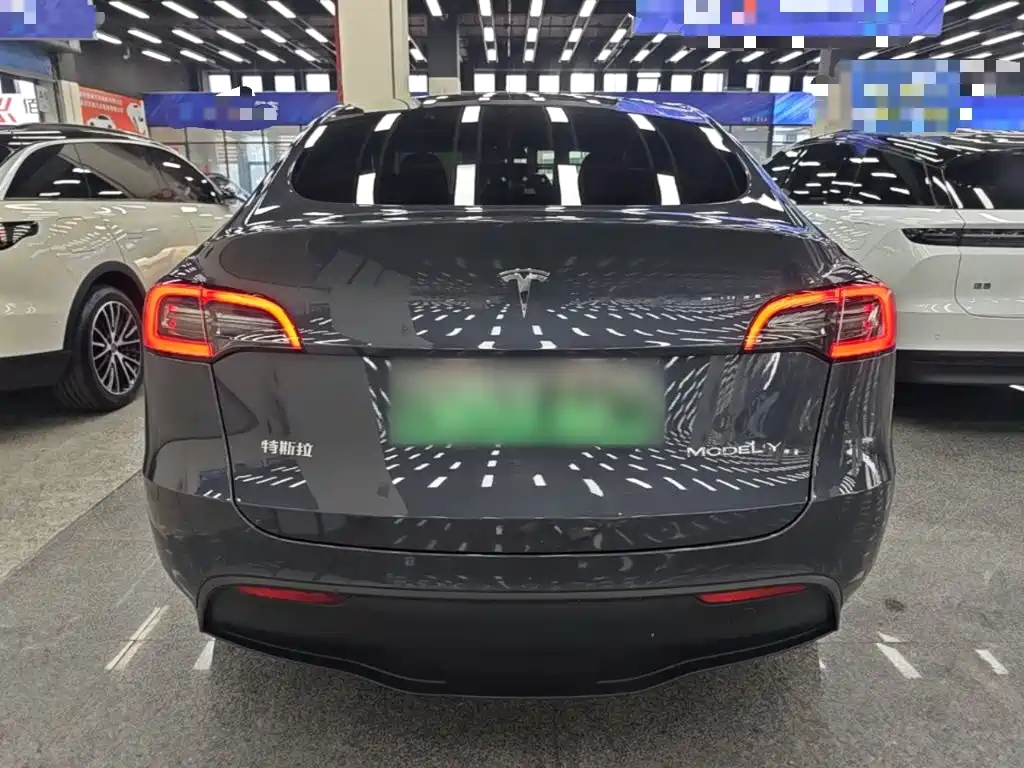 Tesla Model Y — миниатюра 6