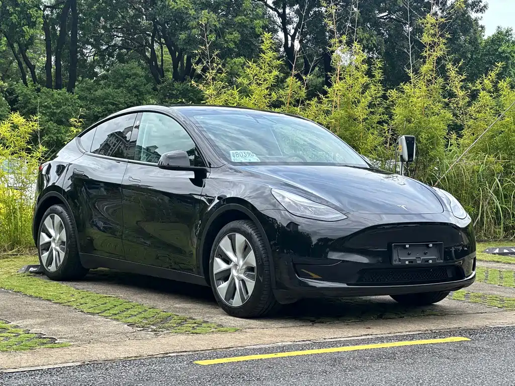 Tesla Model Y — миниатюра 3