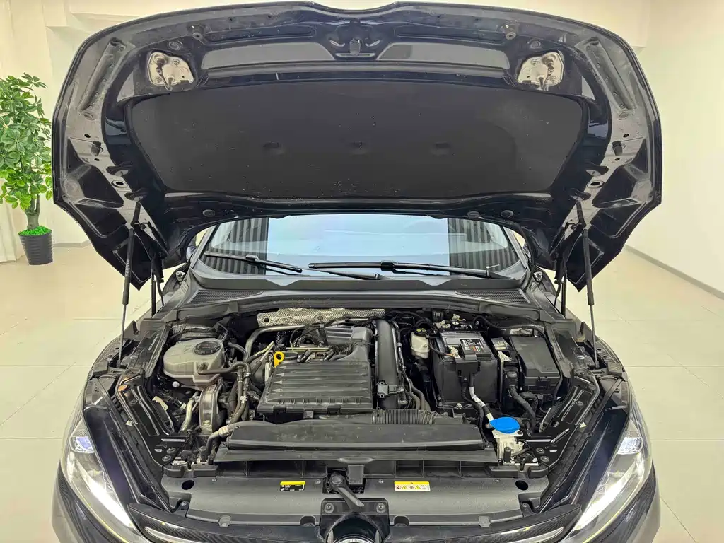 Volkswagen Lamando — миниатюра 20