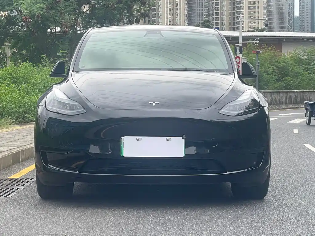 Tesla Model Y — миниатюра 2