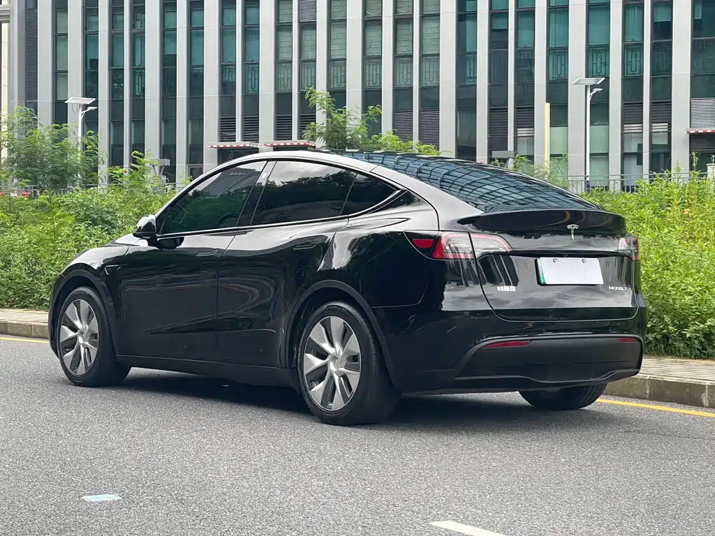 Tesla Model Y — миниатюра 4