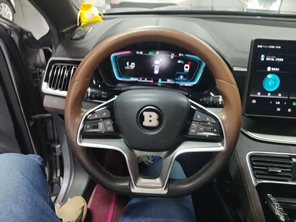 BYD PLUS — миниатюра 11