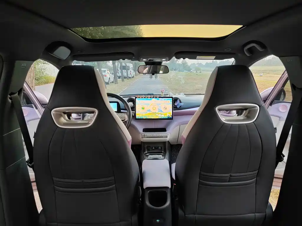 BYD Dolphin — миниатюра 17