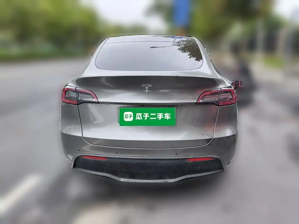 Tesla Model Y — миниатюра 3