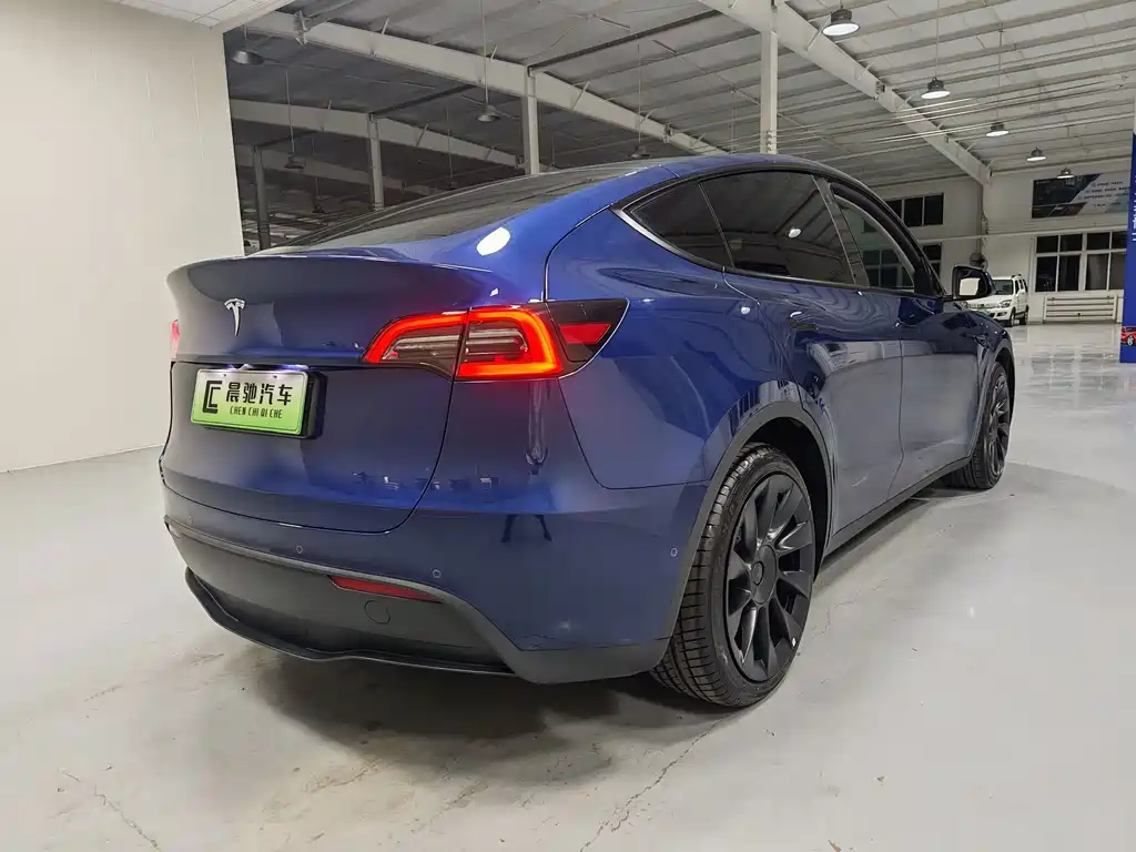 Tesla Model Y — миниатюра 4