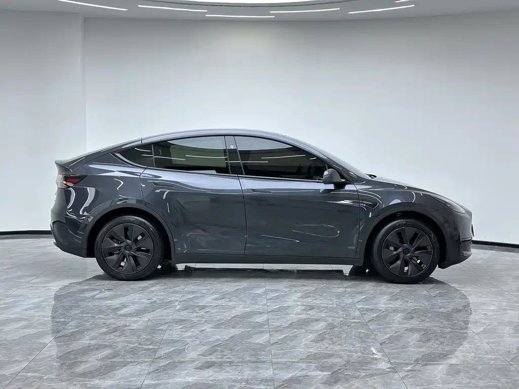 Tesla Model Y — миниатюра 9