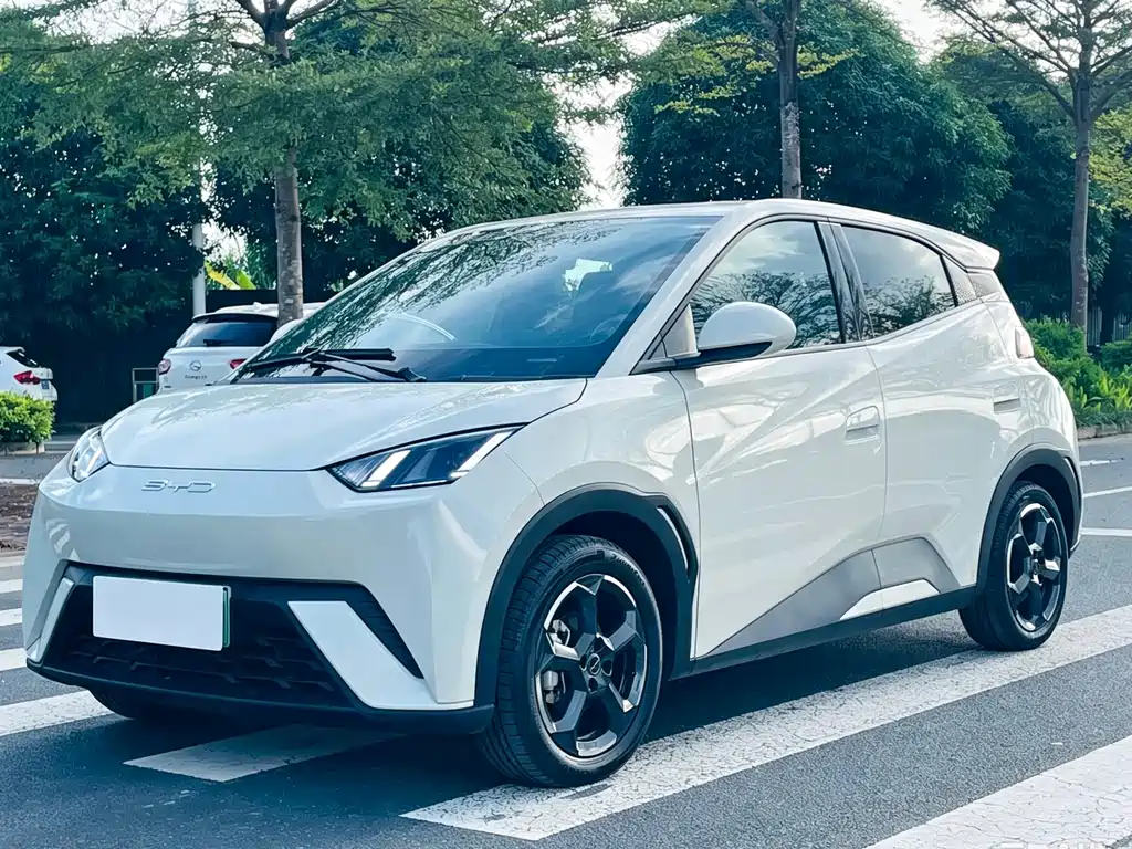 BYD Seagull