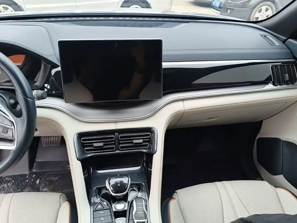 BYD PLUS New Energy — миниатюра 13