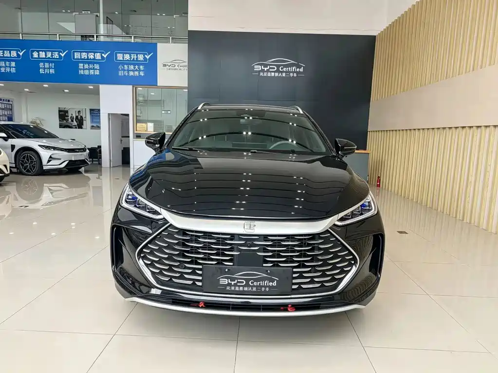 BYD Tang New Energy — миниатюра 2