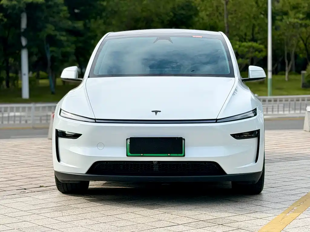 Tesla Model Y — миниатюра 2