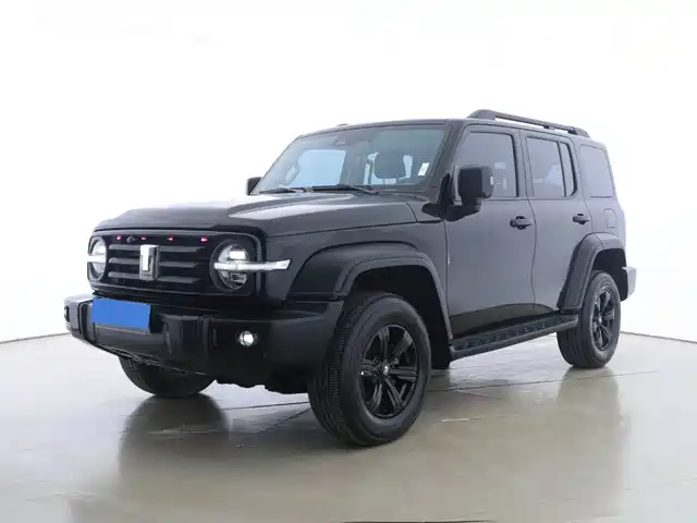 2023 TANK 300