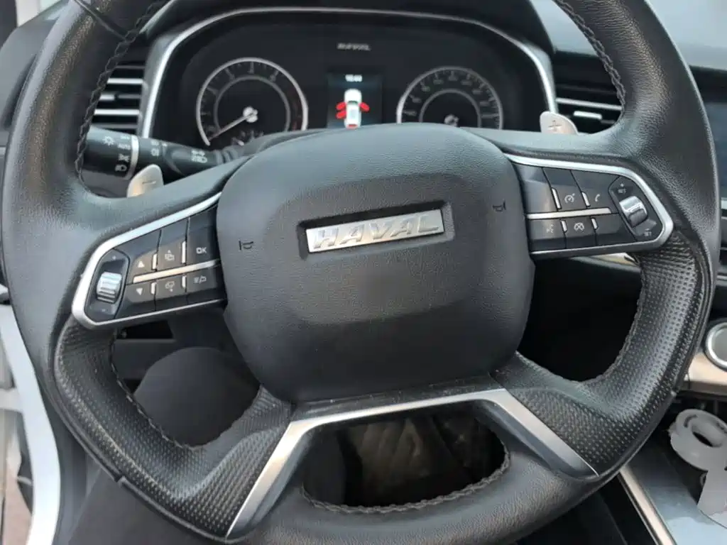 Haval H6 — миниатюра 11