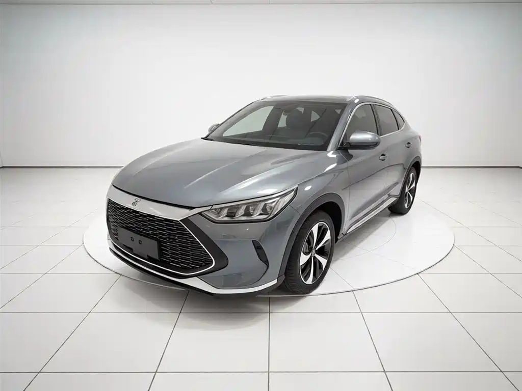 Byd PLUS New Energy 2022