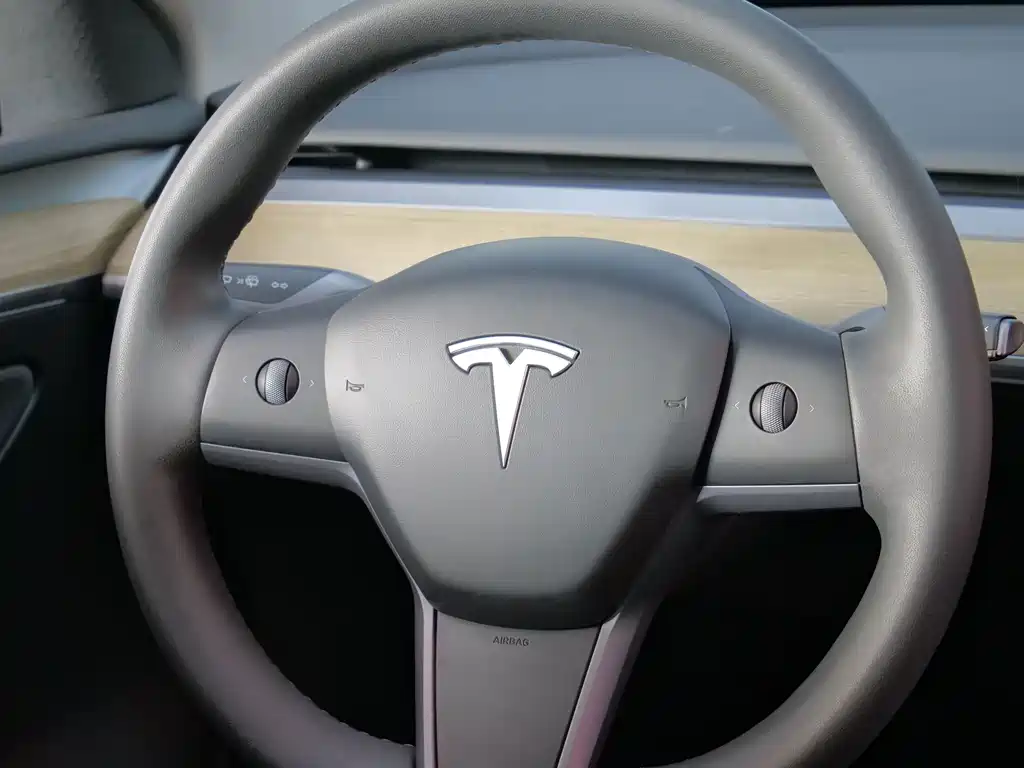 Tesla Model Y — миниатюра 10
