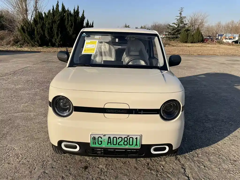 GEELY GALAXY PANDA
