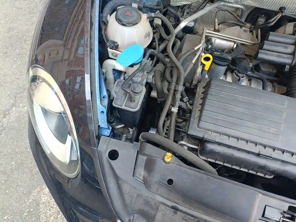 Volkswagen Beetle — миниатюра 20
