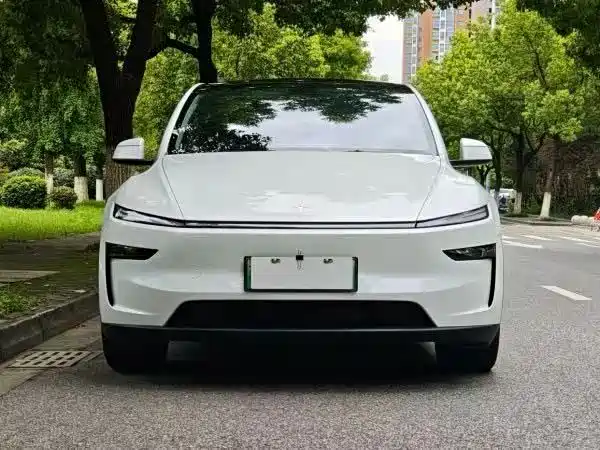 Tesla Model Y — миниатюра 3