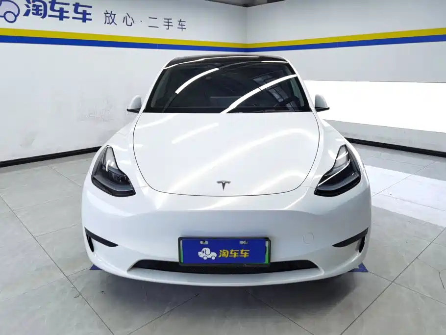 Tesla Model Y — миниатюра 2