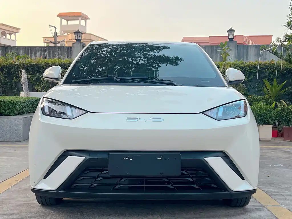 BYD Seagull
