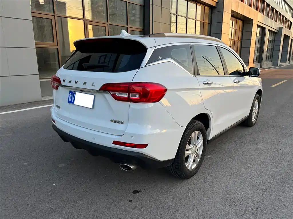 HAVAL M6