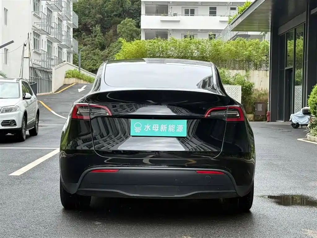 Tesla Model Y — миниатюра 7