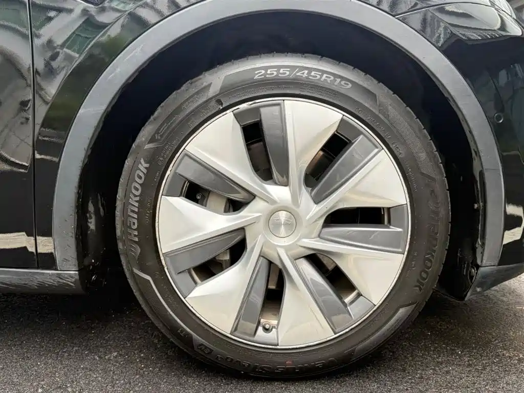 Tesla Model Y — миниатюра 8