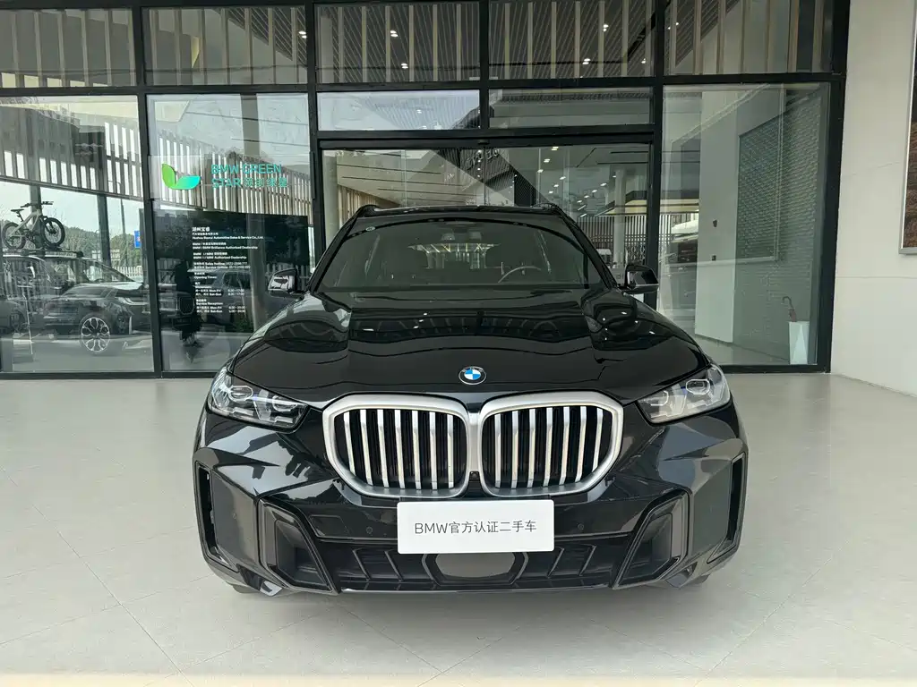 BMW X5 — миниатюра 2
