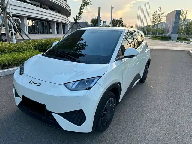 BYD Seagull