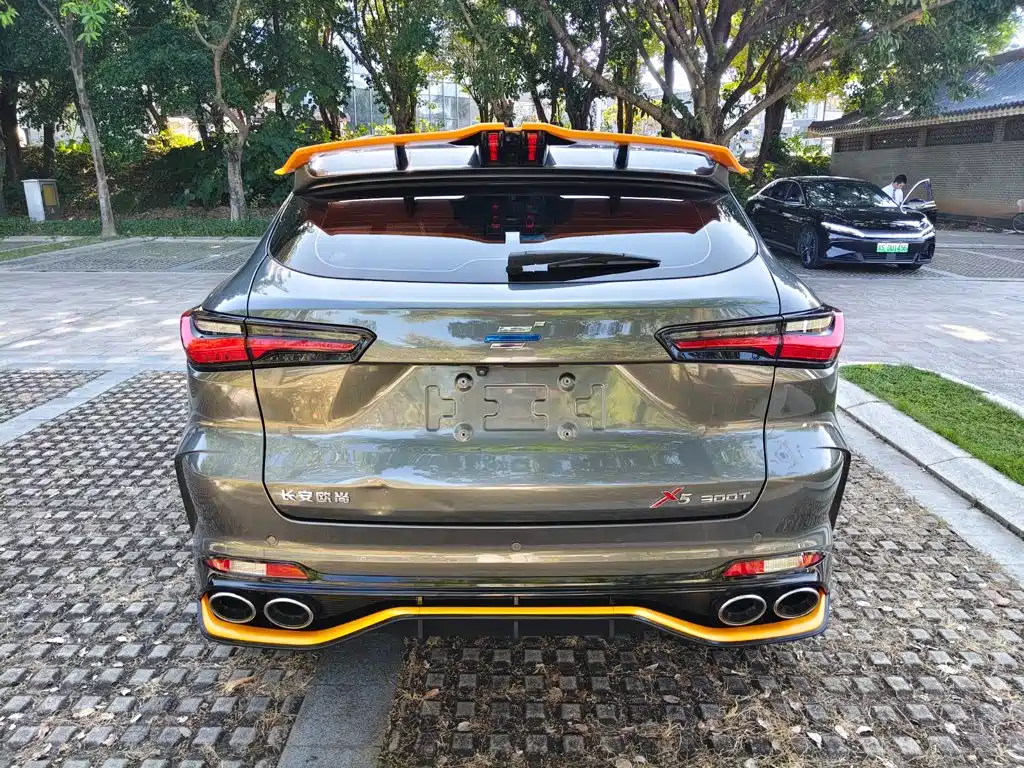 Oshan Oushang X5 — миниатюра 7