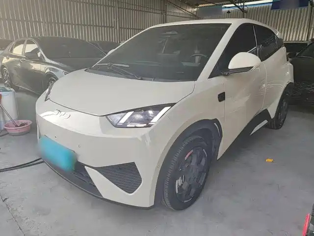 2026 BYD Seagull