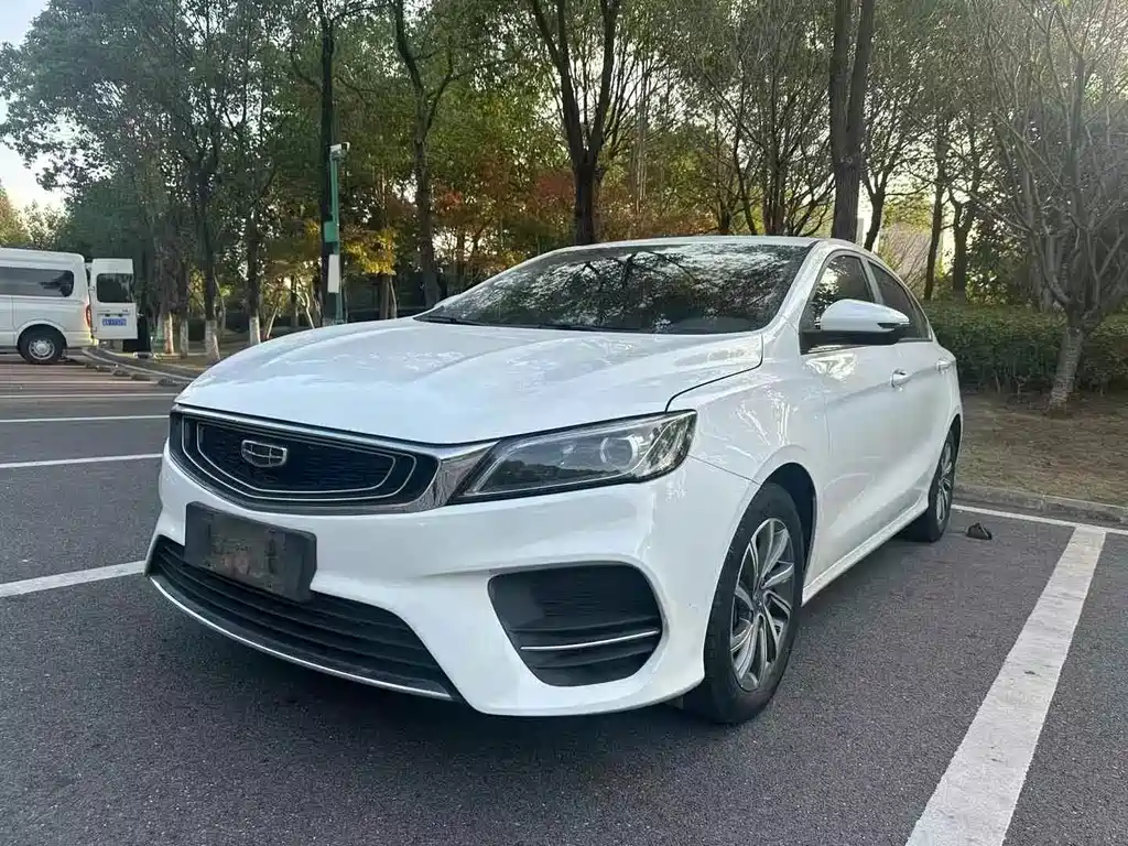 GEELY AUTOMOBILE BINRUI
