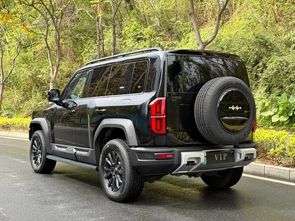 FANG CHENG BAO LEOPARD 5