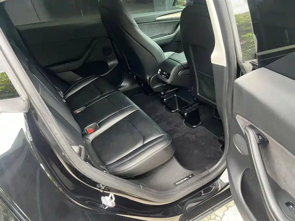 Tesla Model Y — миниатюра 11