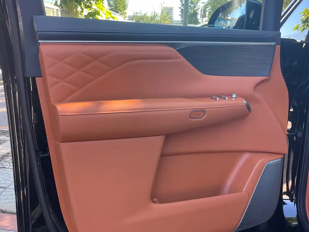 Buick Electra Encasa — миниатюра 6