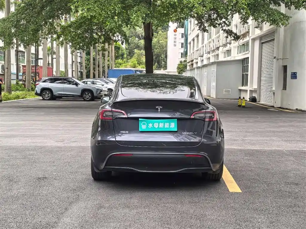 Tesla Model Y — миниатюра 7