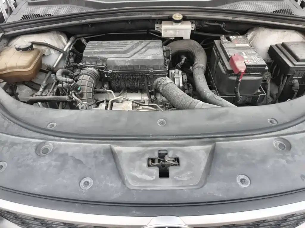 BYD PLUS — миниатюра 16