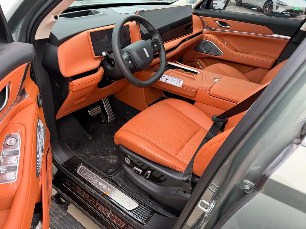 WEI PAI WEI BRAND BLUE MOUNTAIN