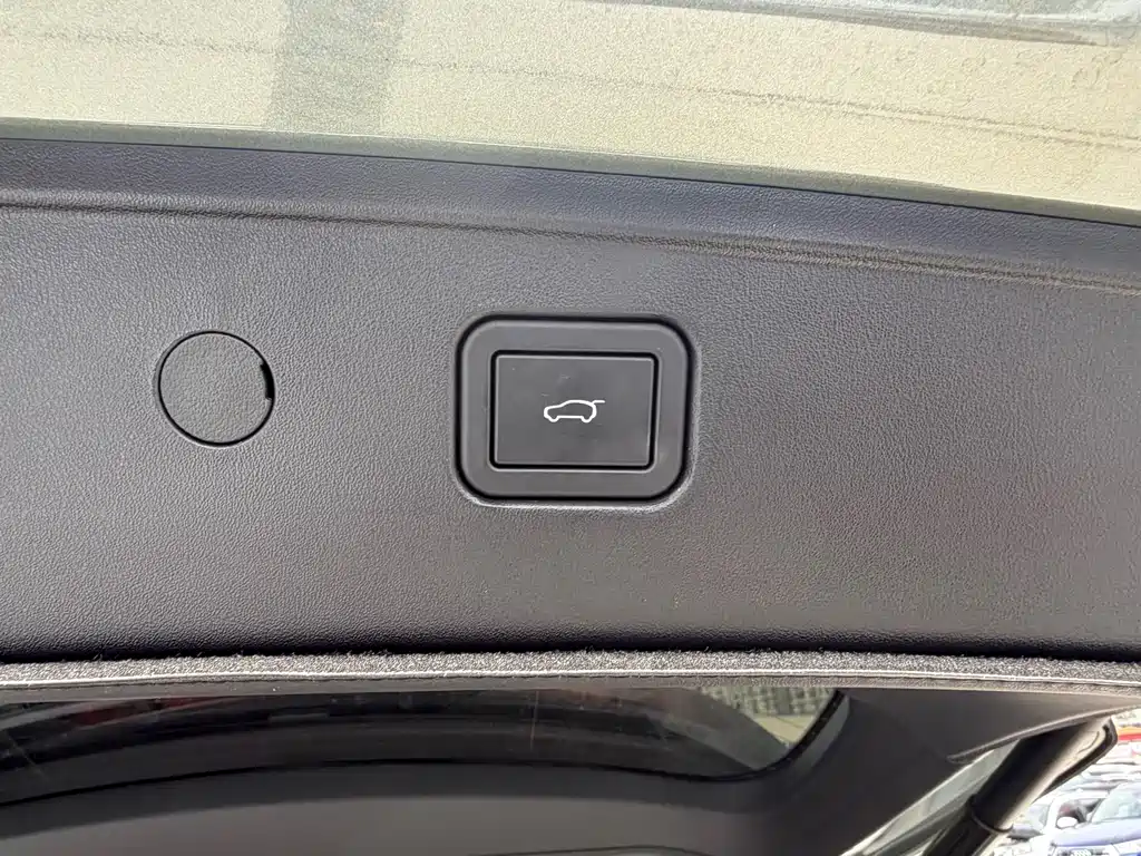 WEI PAI WEI BRAND BLUE MOUNTAIN