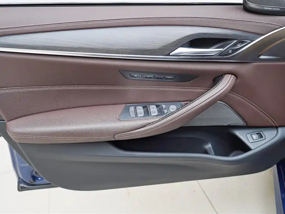 BMW 5 Series 5 2022 530Li Premium M Sport
