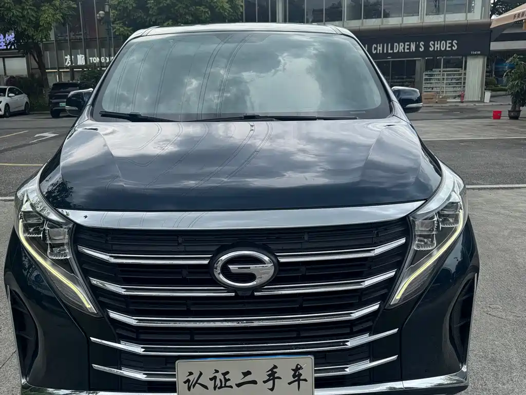 GAC Motor Trumpchi M8 — миниатюра 2