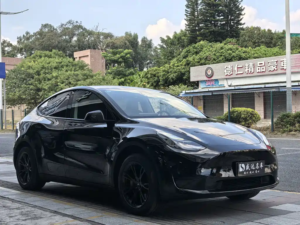 Tesla Model Y — миниатюра 3