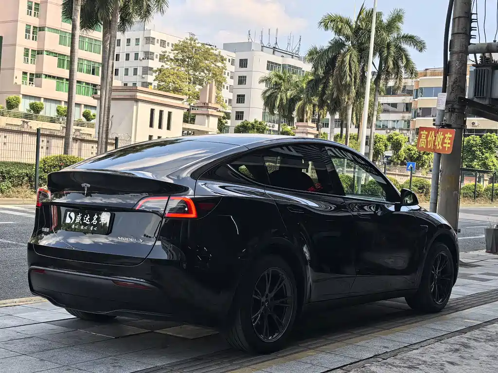 Tesla Model Y — миниатюра 4